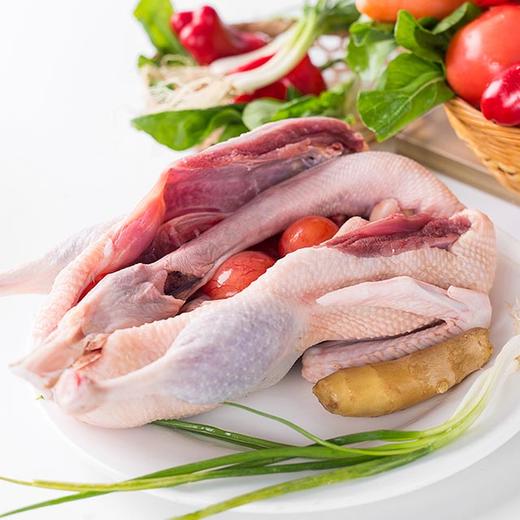 【BH】【TG】【城市配】老鸭 （约3斤） 商品图1