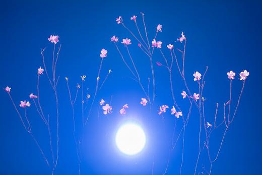 XPM专项技能提升班 |  田红：《多重曝光的 30 个秘密》 商品图4