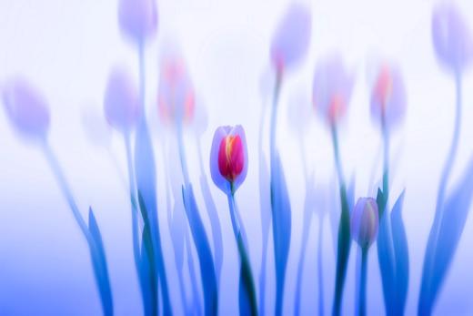 XPM专项技能提升班 |  田红：《多重曝光的 30 个秘密》 商品图0