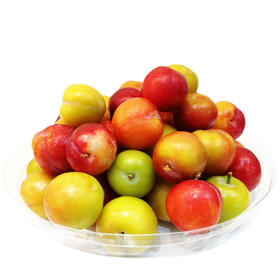 三月脆李子 1000g