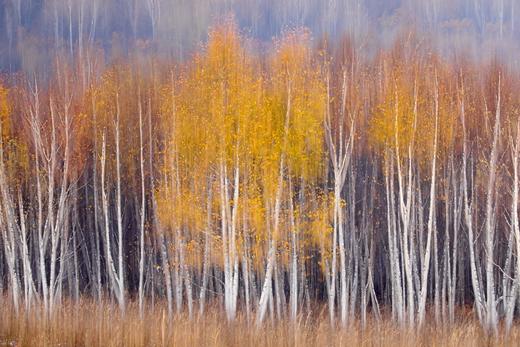 XPM专项技能提升班 |  田红：《多重曝光的 30 个秘密》 商品图6