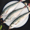 物本源二去巴浪鱼    （去肚、鳃）900g 商品缩略图0