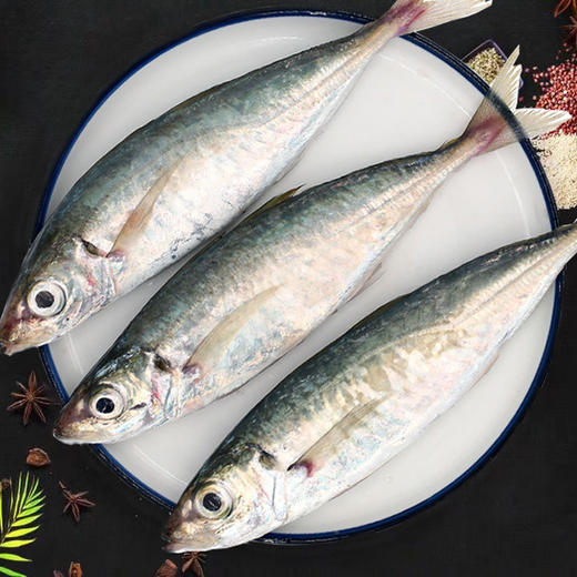 物本源二去巴浪鱼    （去肚、鳃）900g 商品图0