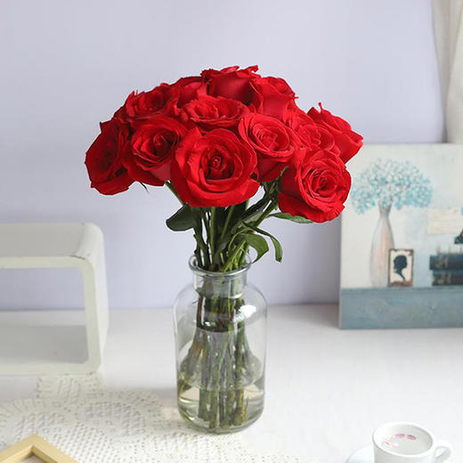 卡罗拉（玫瑰）18支  颜色随机 商品图0