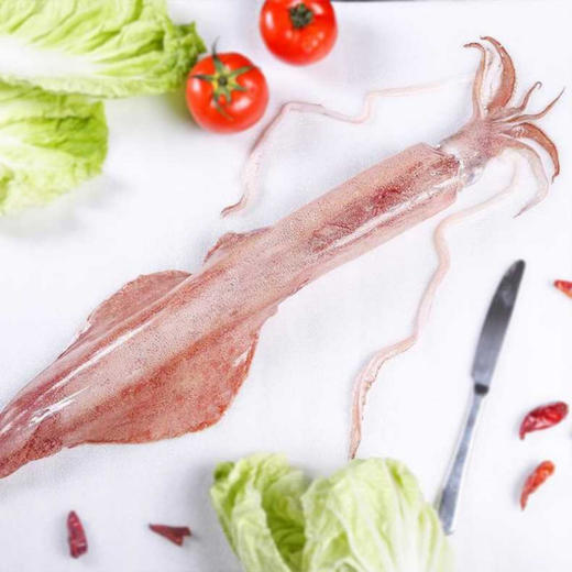 物本源深海手钓鱿鱼 商品图0