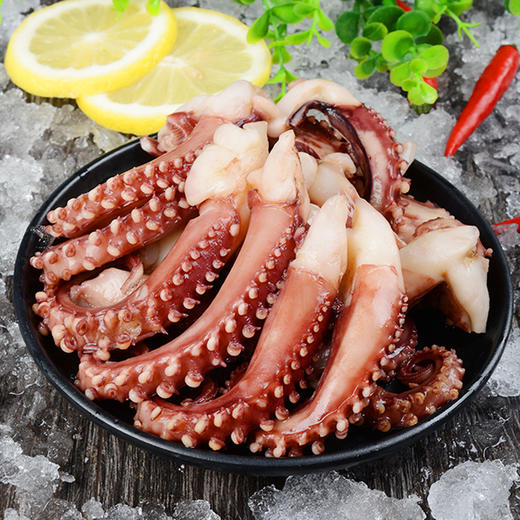 物本源深海鱿鱼须250克 商品图0