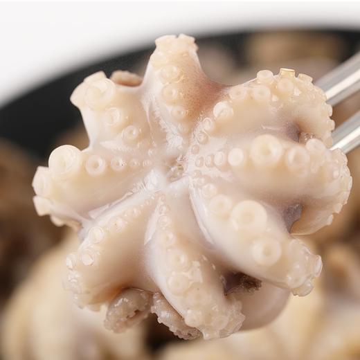 物本源深海章鱼花250g 商品图0