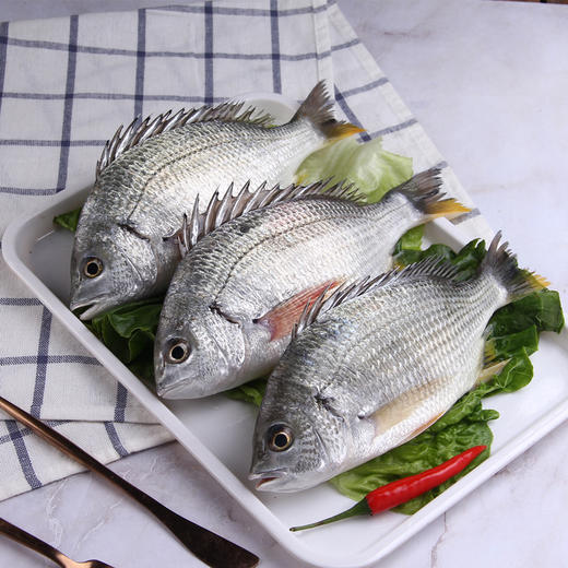 物本源海钓野生黄翅鱼(月子鱼）500g 商品图0