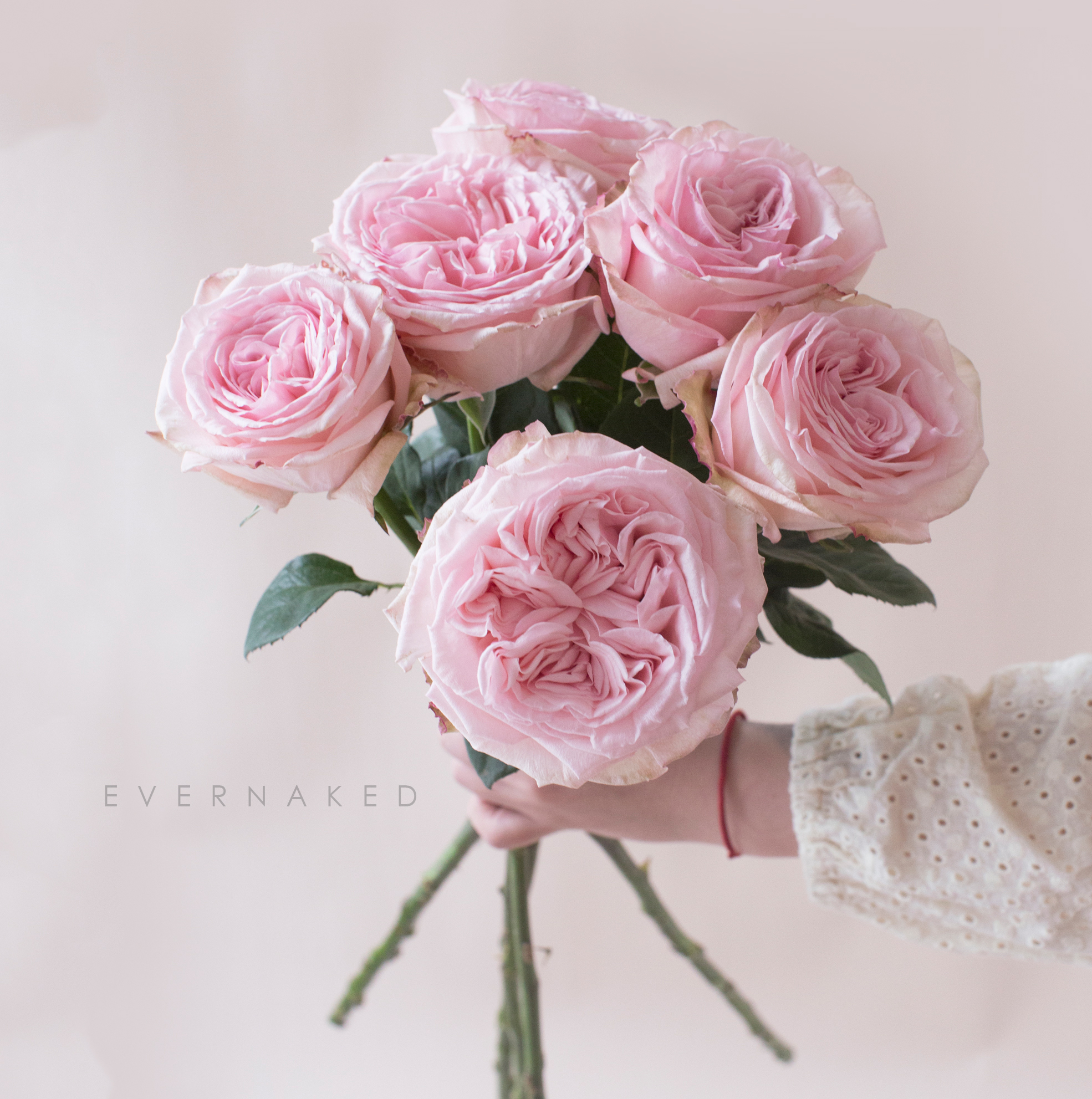 「单品花材」荔枝玫瑰粉色