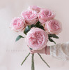 「单品花材」荔枝玫瑰粉色 商品缩略图0