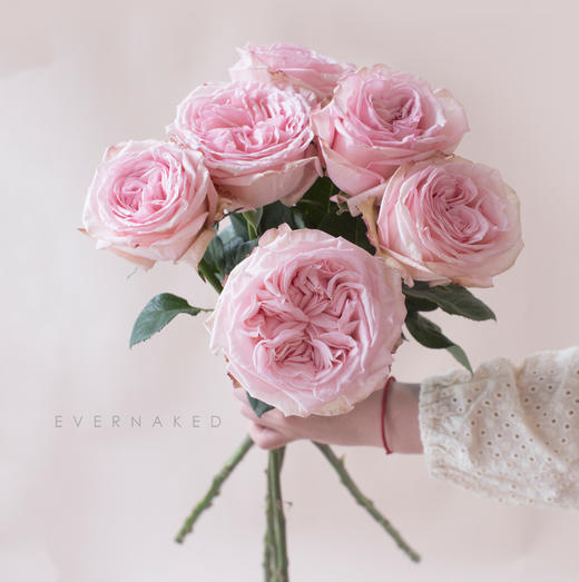 「单品花材」荔枝玫瑰粉色 商品图0