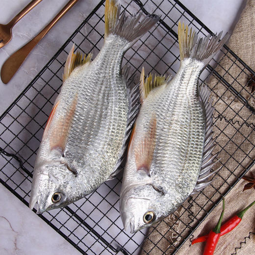 物本源海钓野生黄翅鱼(月子鱼）500g 商品图2
