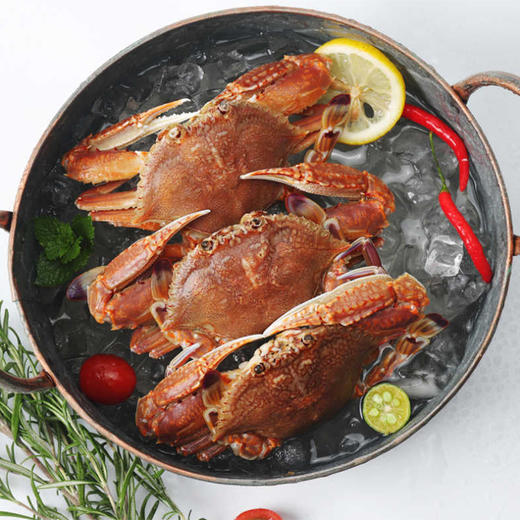 物本源一口蟹 （拥剑梭子蟹）250g 商品图1