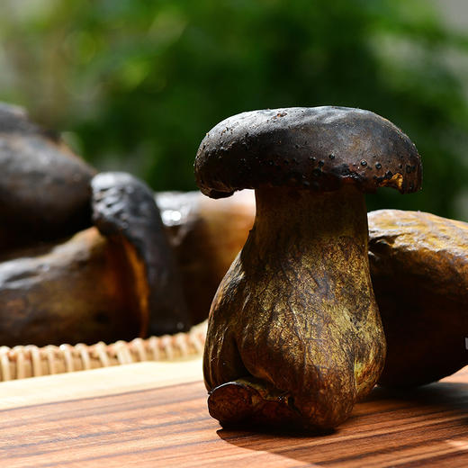 【新鲜有机  人工黑牛肝菌】  顺丰包邮   500g/1000g任选 商品图9