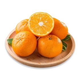 茂谷柑 Honey Murcott