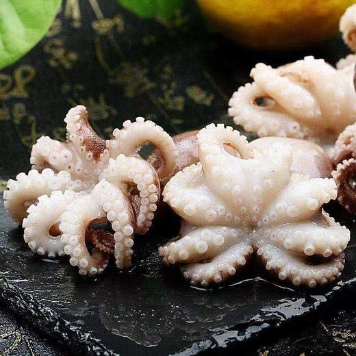 物本源深海章鱼花250g 商品图1