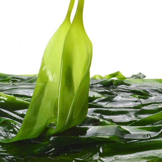 物本源深海海带苗（无泡发）400g 商品图0