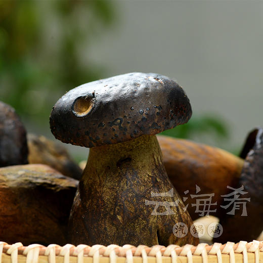 【新鲜有机  人工黑牛肝菌】  顺丰包邮   500g/1000g任选 商品图8