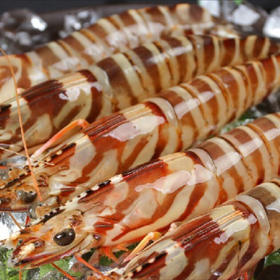 深海船冻斑节虾350克