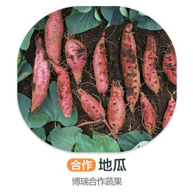地瓜（严选）（±50g/份）