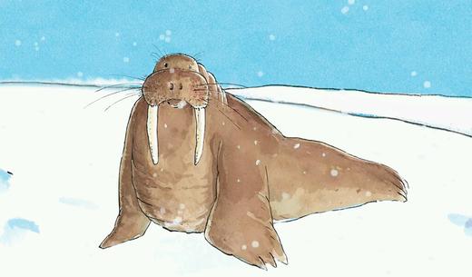 社会交往12-猜猜猜 商品图0