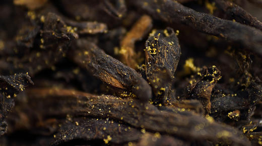 15. 为你揭开六堡茶金花神秘的面纱 商品图0