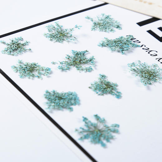 【上手】DIY蕾丝花花材 商品图1