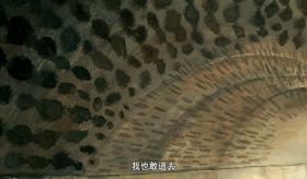 性格养成05-骑士韦伯