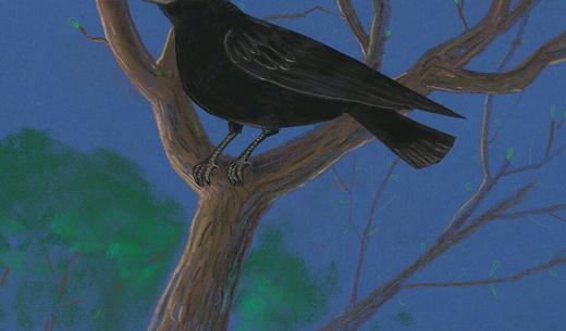 科学发现03-大交响乐 商品图0