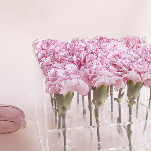 进口康乃馨花盒