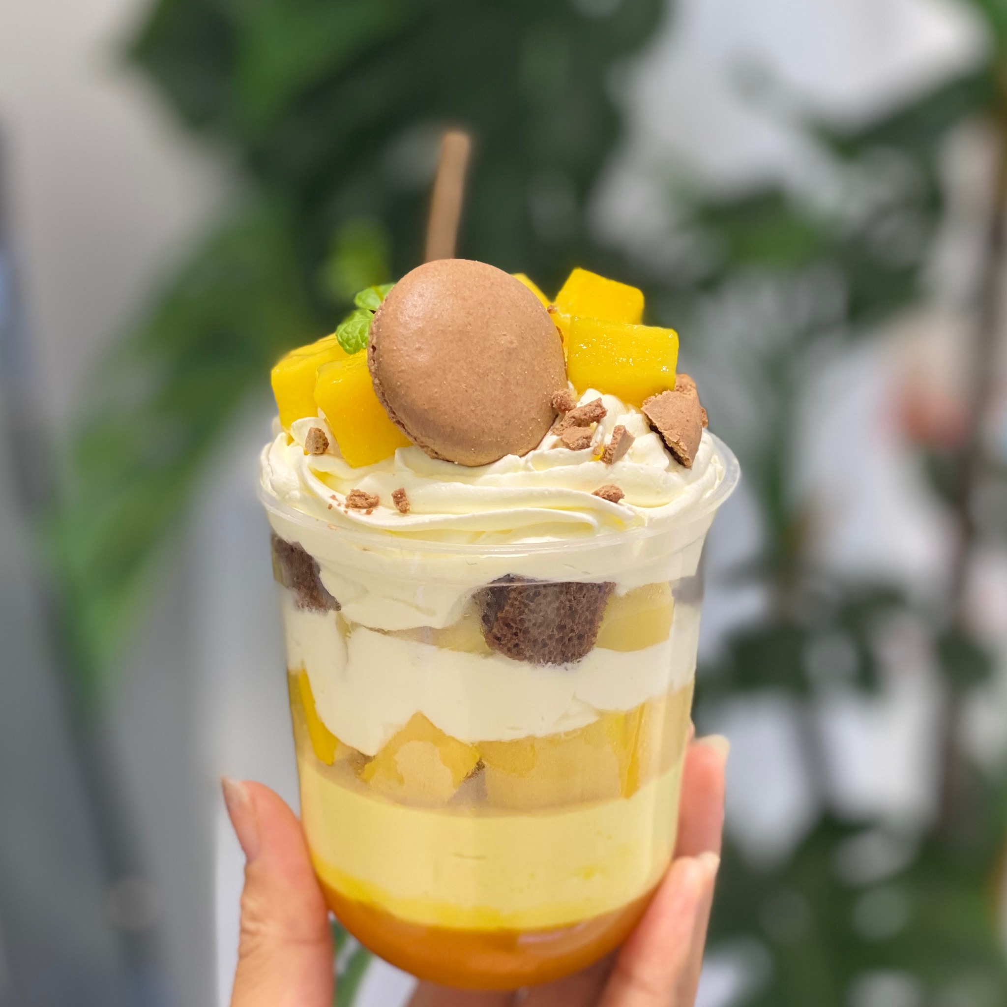 魔法杯（进口奶油➕新鲜水果➕慕斯底）