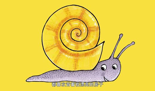 科学发现05-猜猜在哪里 商品图0