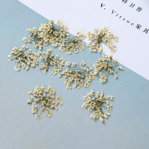 【上手】DIY蕾丝花花材 商品图2