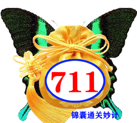巧数正方体（一）711号锦囊通关妙计