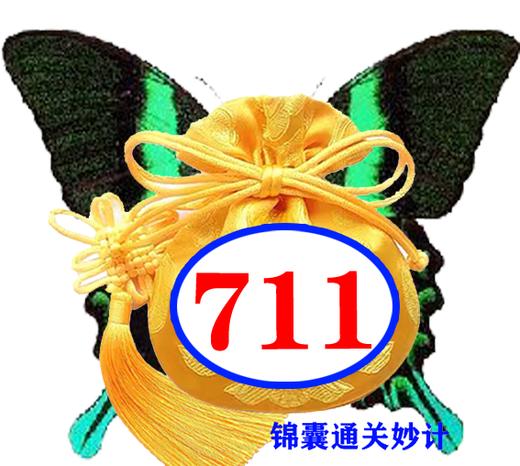 巧数正方体（一）711号锦囊通关妙计 商品图0
