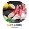 海州乐-野生北极贝 商品缩略图0