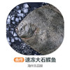 海州乐-速冻大石蝶鱼 商品缩略图0