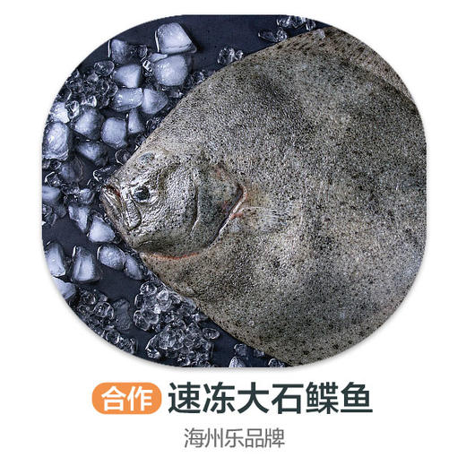 海州乐-速冻大石蝶鱼 商品图0
