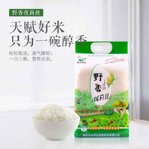 野香优莉丝5kg 商品图1