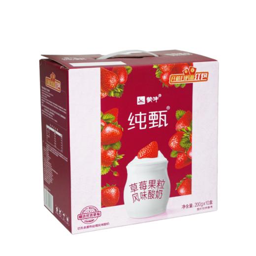 特仑苏谷粒牛奶/纯甄酸奶 限时任选2件 商品图1
