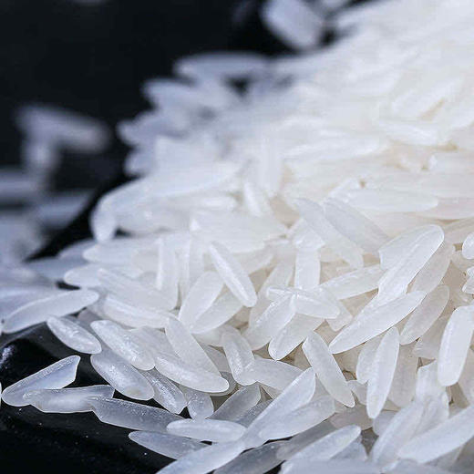 野香优莉丝5kg 商品图2