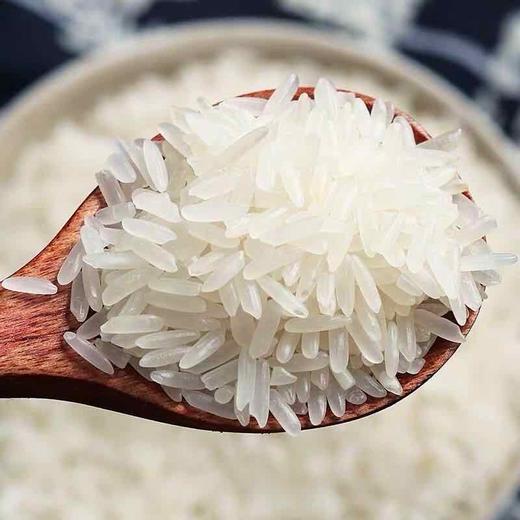 野香优莉丝5kg 商品图4