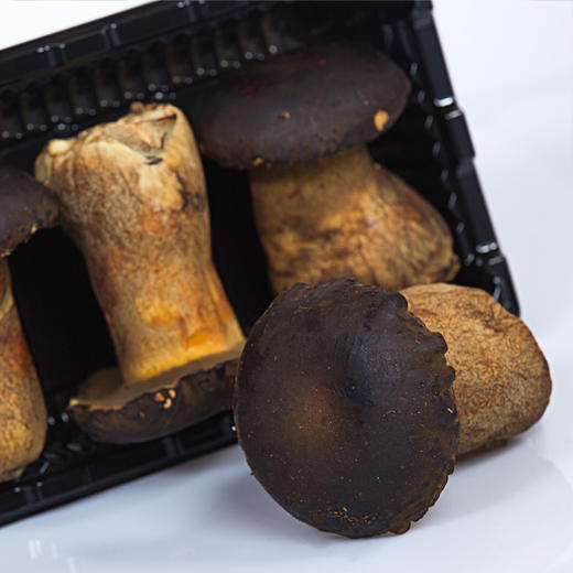 【新鲜有机  人工黑牛肝菌】  顺丰包邮   500g/1000g任选 商品图3