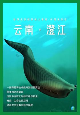 中国生命纪·澄江 DAY.4