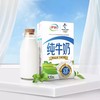 伊利纯牛奶250ml高钙营养早餐必备 商品缩略图3