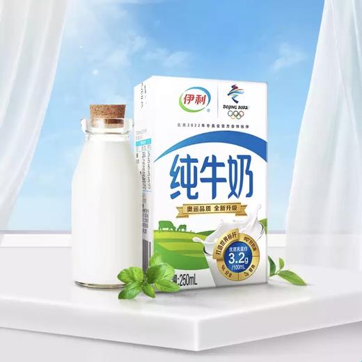 伊利纯牛奶250ml高钙营养早餐必备 商品图3