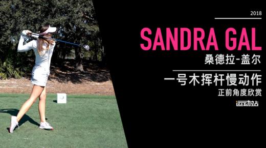 桑德拉-盖尔｜一号木挥杆慢动作／正前角度欣赏／２０１８ＣＭＥ巡回锦标赛 商品图0