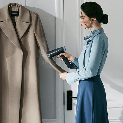 摩飞蒸汽挂烫机2030 商品图2