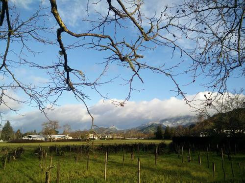 加州AVA产区入门指南