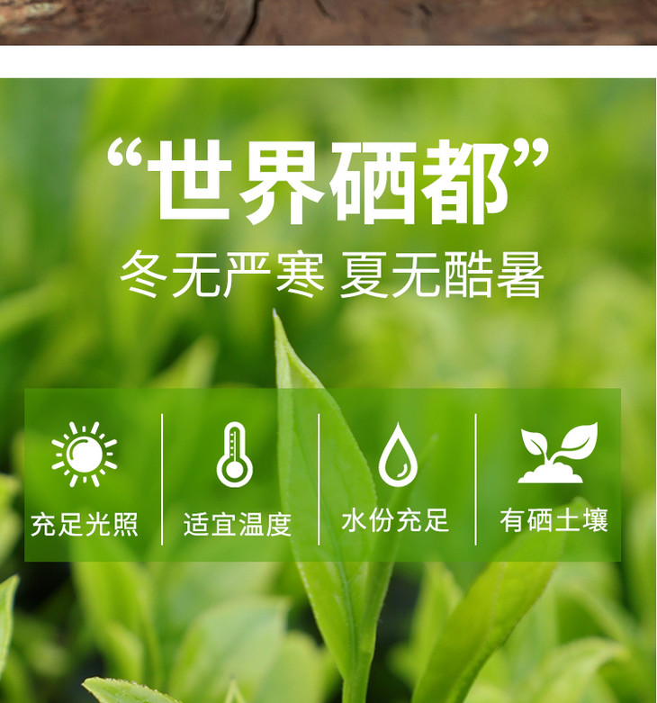 湖北恩施硒茶 玉露爱心茶 茶色清澈 茶香扑鼻 清爽回甘 100g/袋